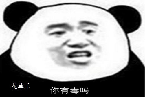 白掌的養殖方法介紹,做好這幾點你的白掌才會葉片翠綠,花葶直立