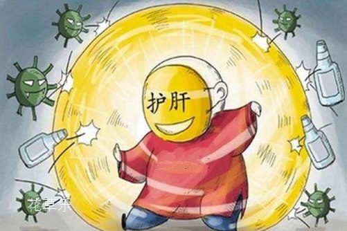 伽藍(lán)菜的功效與作用,緩解乳房脹痛/去除青春痘及清熱解毒