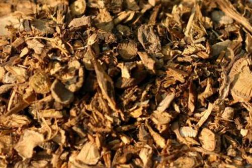 教你慧眼辨別蝙蝠葛，蝙蝠葛的功效介紹