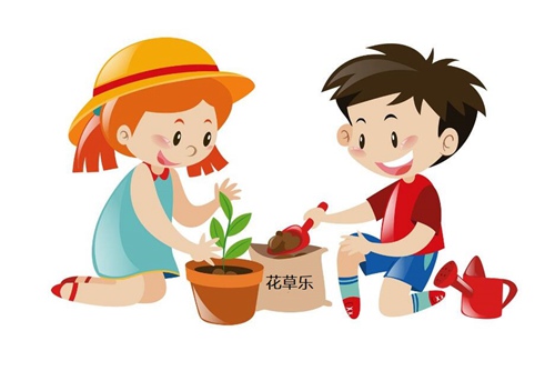 不同的季節怎樣對盆景施肥？餅肥應如何使用？